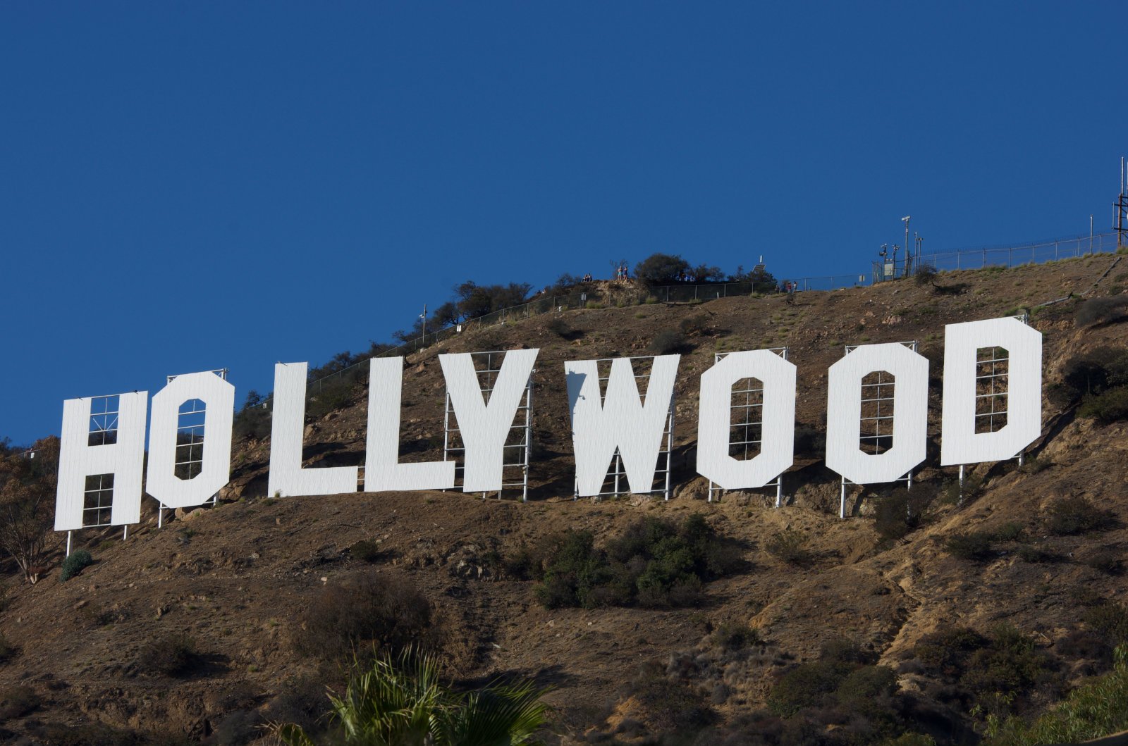 Hollywood Sign024
